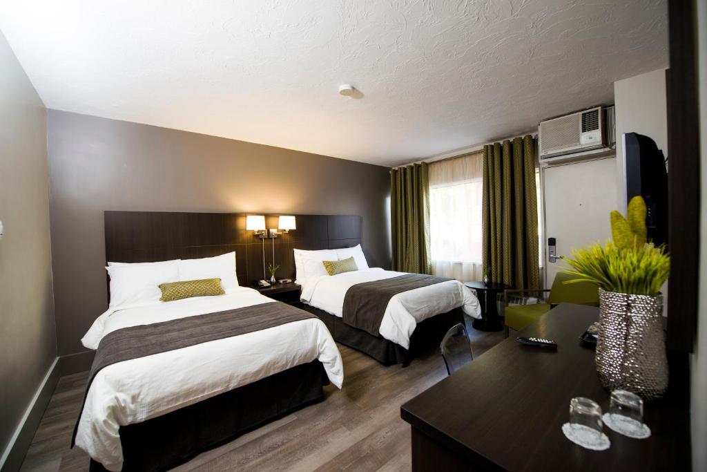 V Hotel & Suites Moncton Rom bilde